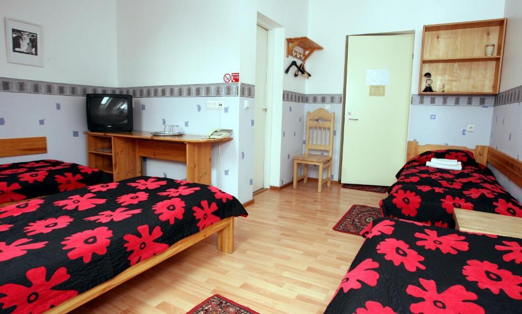 Katariina Guesthouse 라크베레 객실 사진